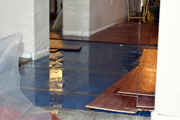Professional Water Extraction technician working in New Springfield, OH